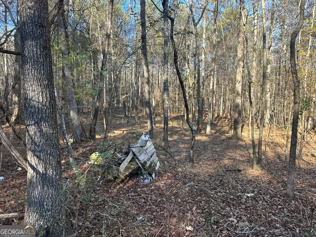 $100,000 | 3016 Trammel Bottom Road, Hogansville, GA 30230