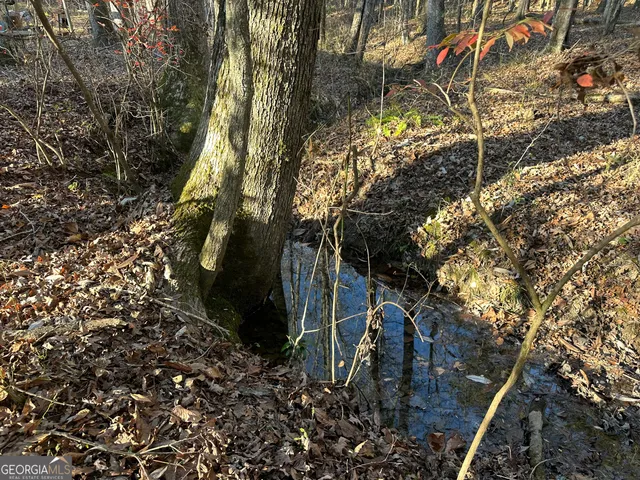 $100,000 | 3016 Trammel Bottom Road, Hogansville, GA 30230