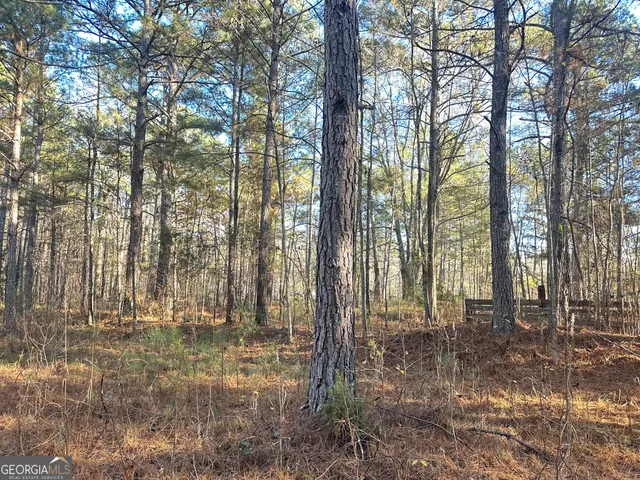 $100,000 | 3016 Trammel Bottom Road, Hogansville, GA 30230