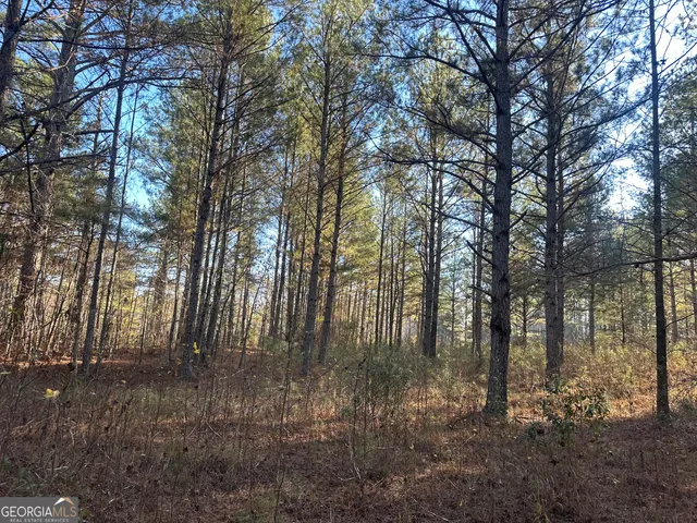 $100,000 | 3016 Trammel Bottom Road, Hogansville, GA 30230