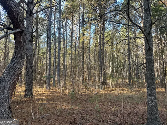 $100,000 | 3016 Trammel Bottom Road, Hogansville, GA 30230