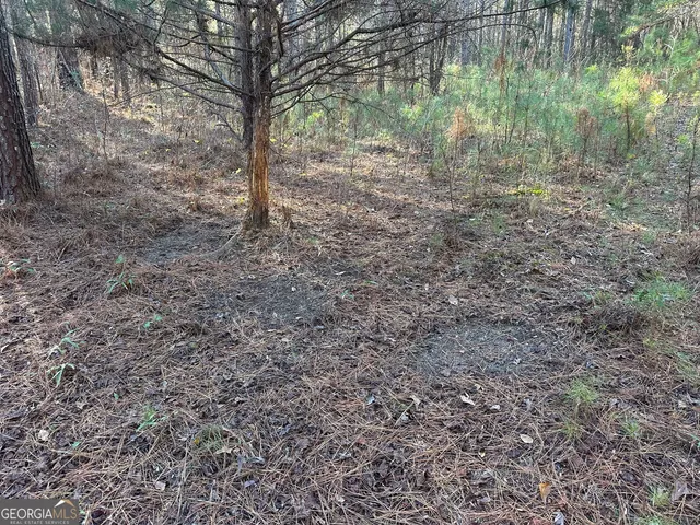 $100,000 | 3016 Trammel Bottom Road, Hogansville, GA 30230