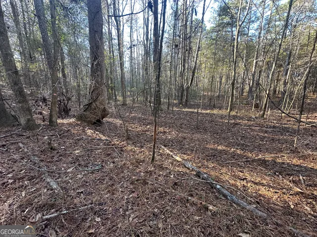 $100,000 | 3016 Trammel Bottom Road, Hogansville, GA 30230