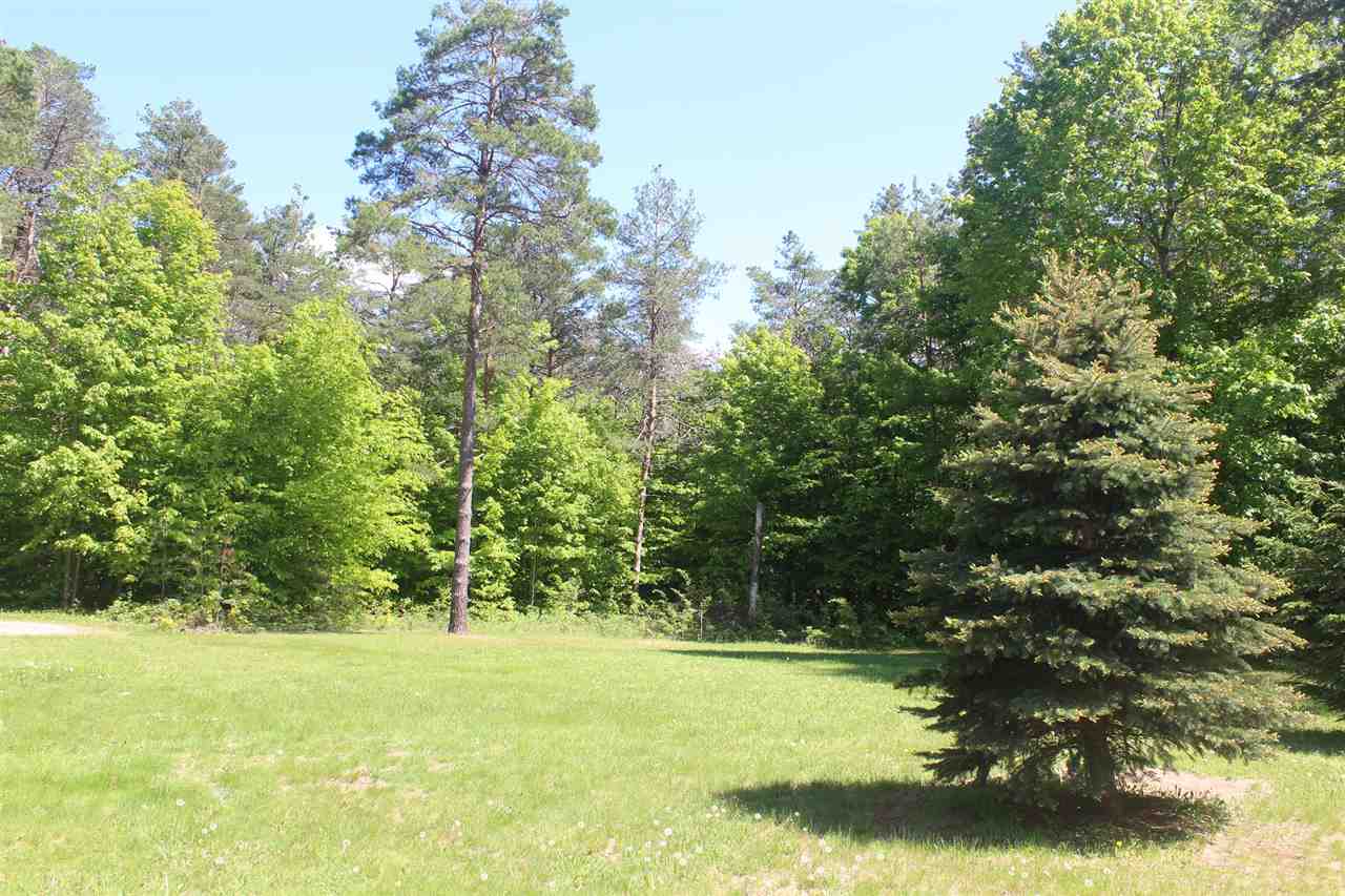 4790 Soderquist Road Mancelona, MI 49659 - Photo 23 of 30 1862422-22.JPG