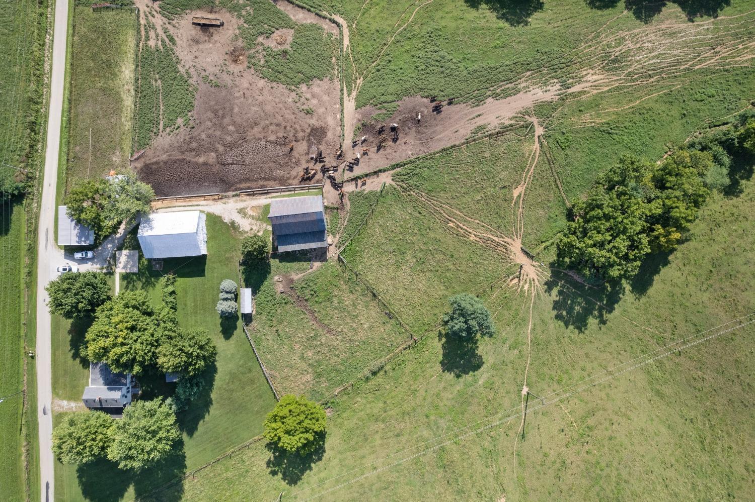 5286 Pisgah Ridge Road Ripley, OH 45167 - Photo 48 of 50