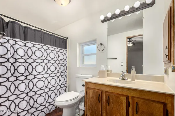a bathroom with a sink a toilet and a large mirror