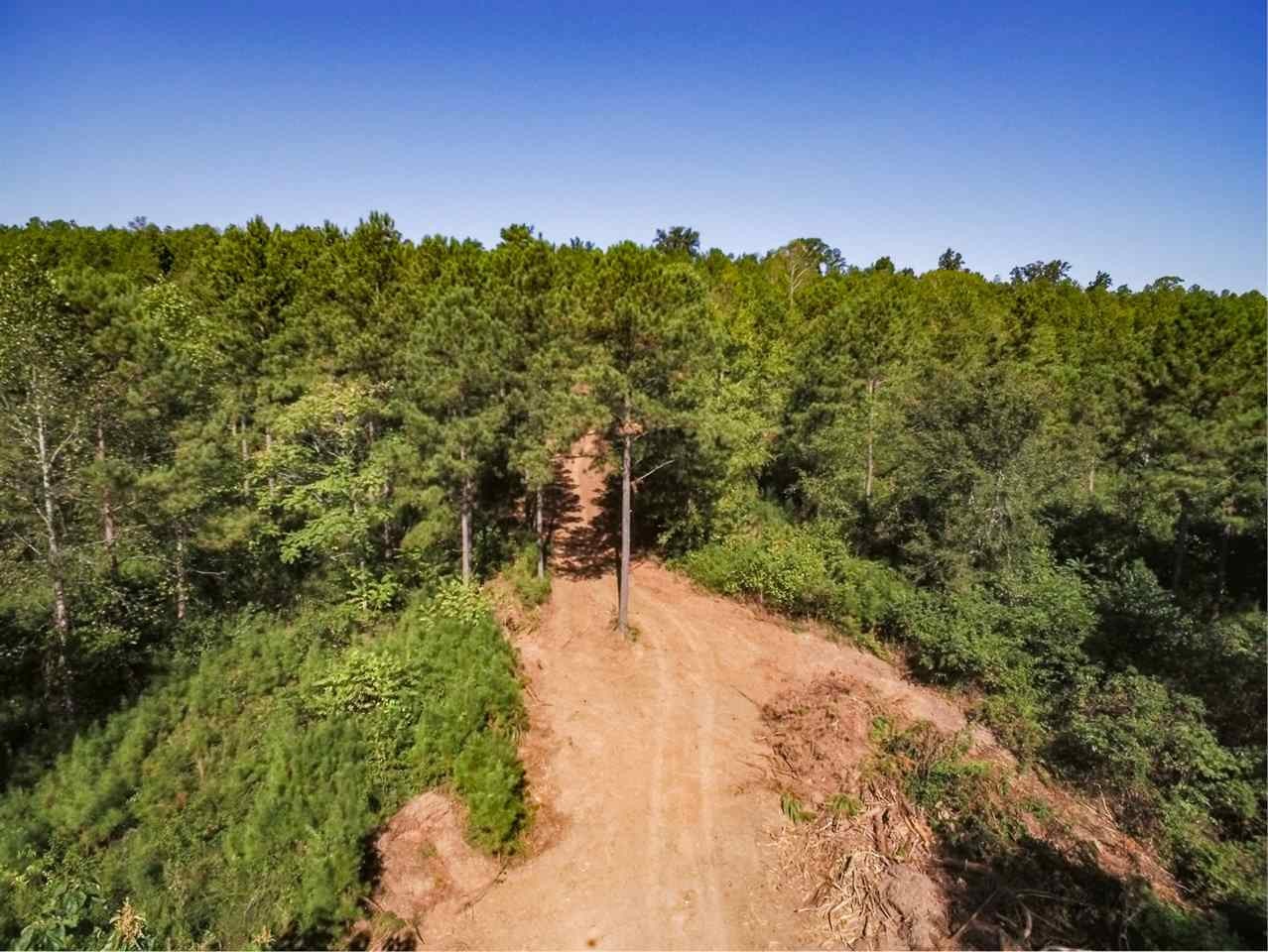 0 Dean Howard Lane Decatur, TN 37322 - Photo 5 of 7 Gallery Image 5