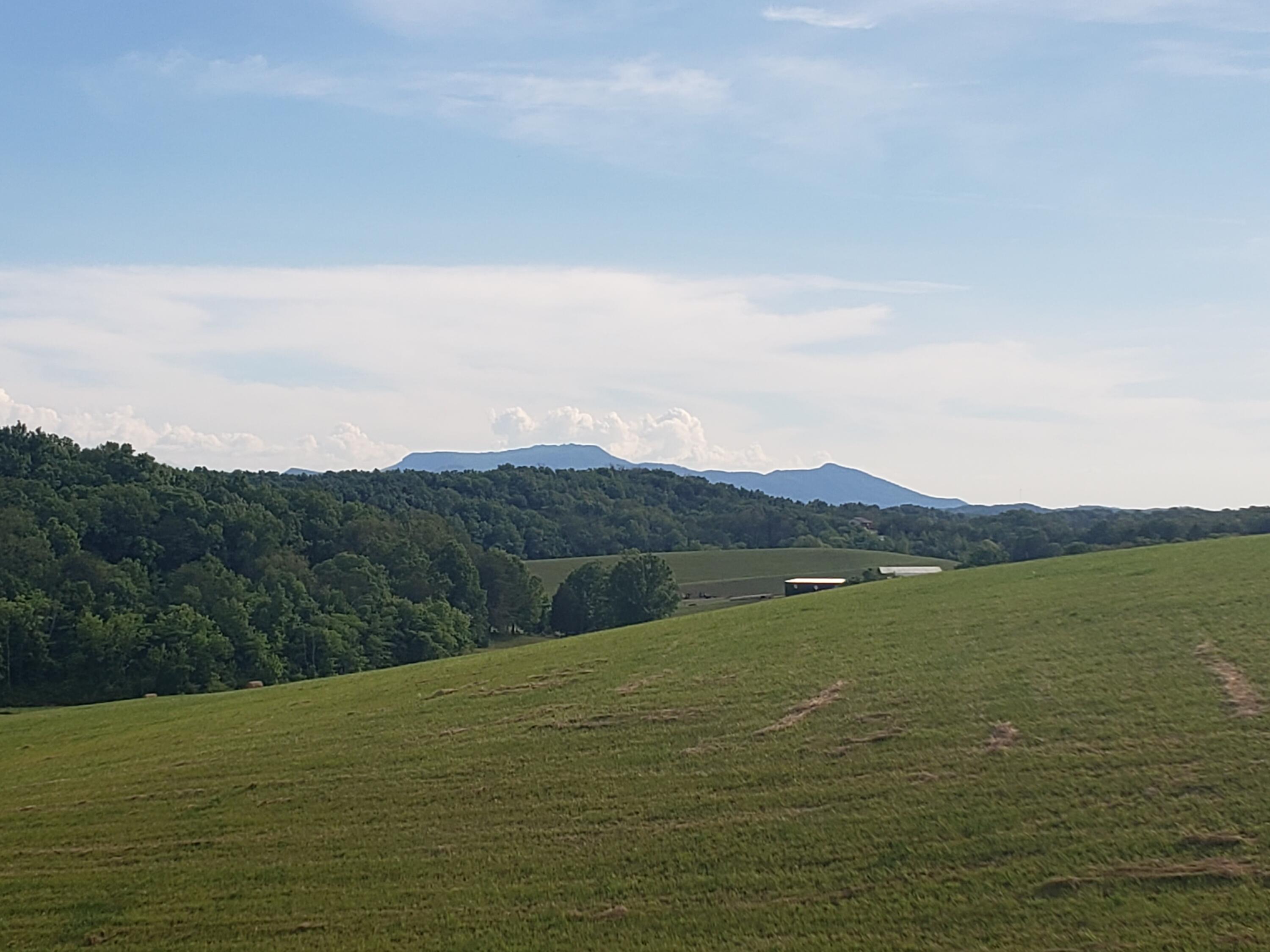 875 Palmer Hollow Road Bybee, TN 37713 - Photo 4 of 25 20210604_174435