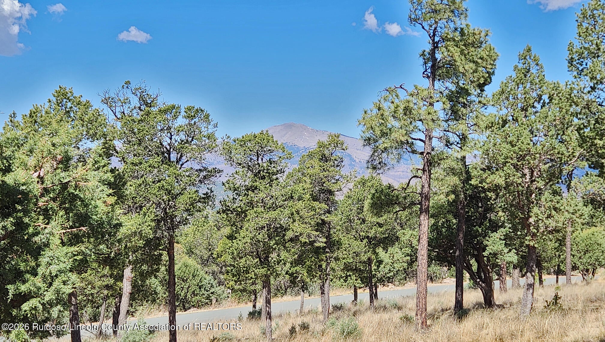 507 Excalibur Road Ruidoso, NM 88345 - Photo 96 of 120 Gallery Image 96