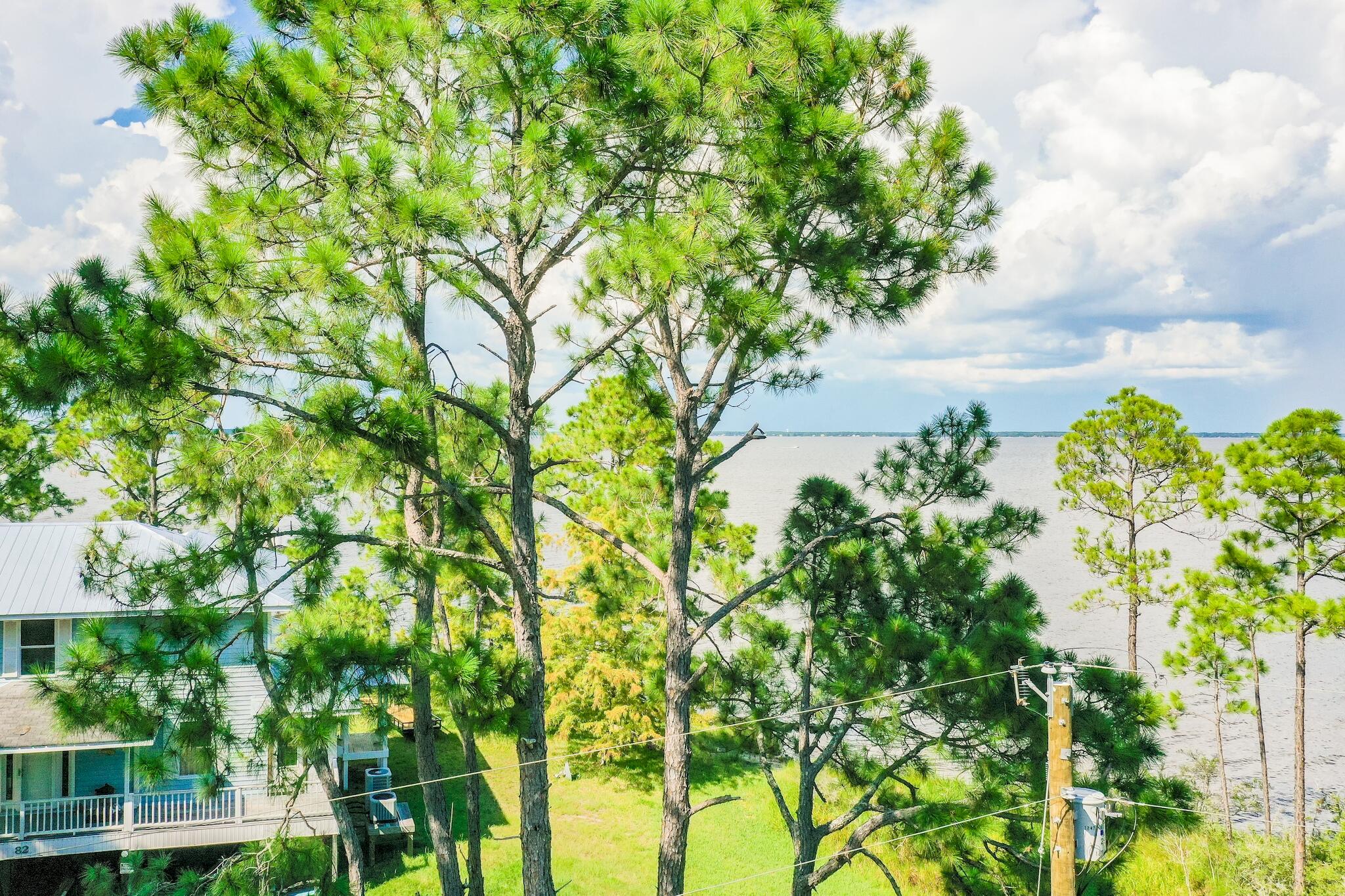 Lot 4 Whisper Lane Santa Rosa Beach, FL 32459 - Photo 4 of 16 a backyard of a house with lots of green space