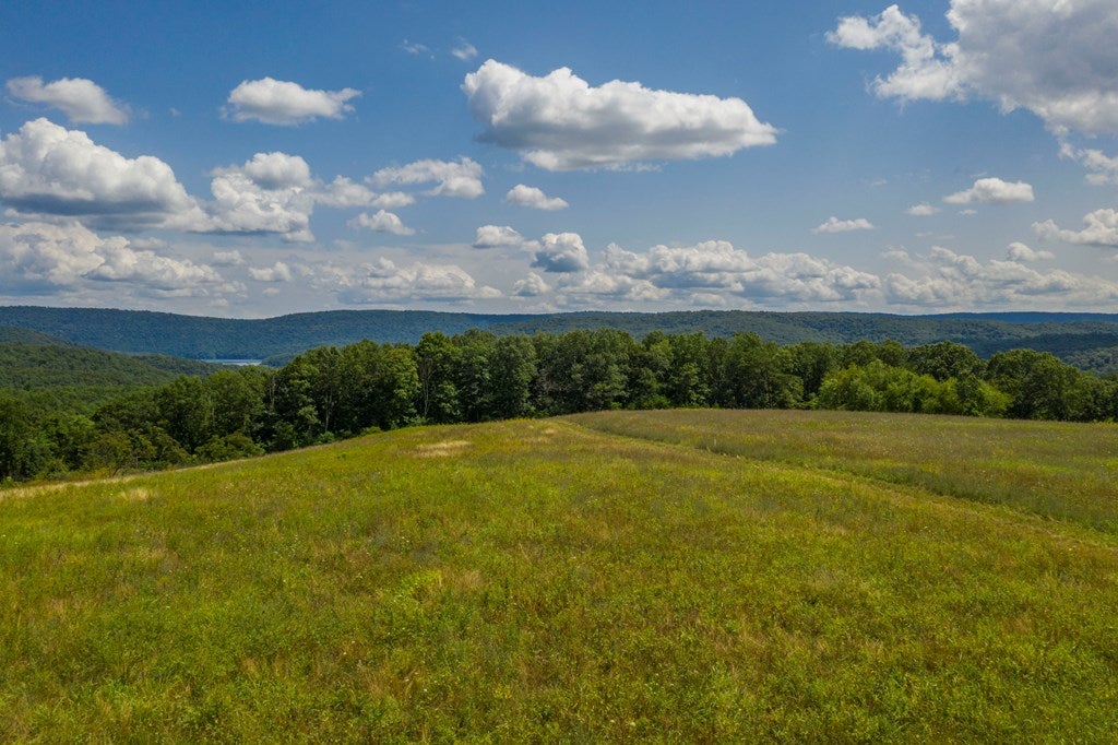 12009 Piney Ridge Road, Unit LOT 6 Huntingdon, PA 16652 - Photo 6 of 8 Gallery Image 6