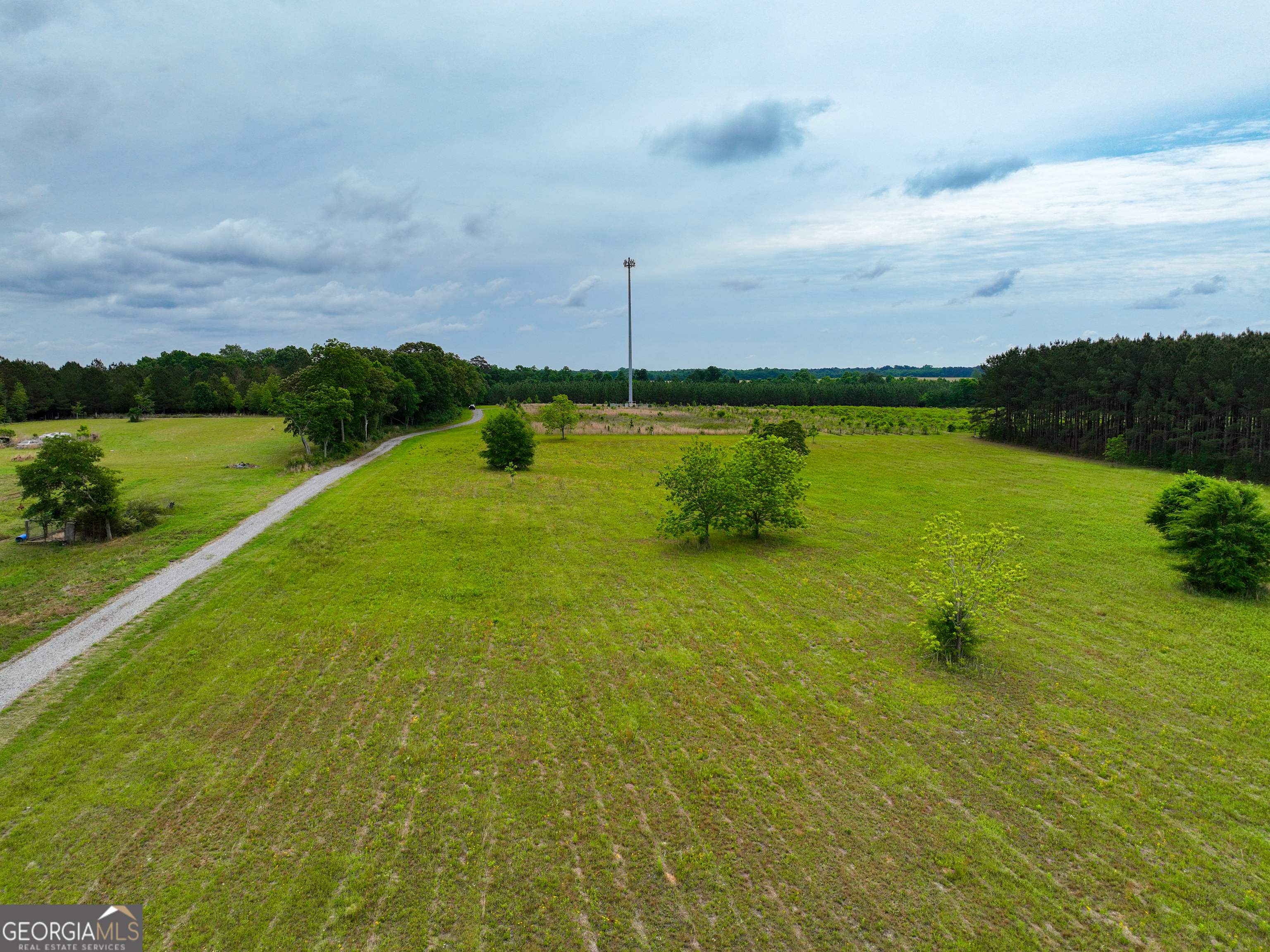 759 Pitts Road Hawkinsville, GA 31036 - Photo 3 of 15 Gallery Image 3