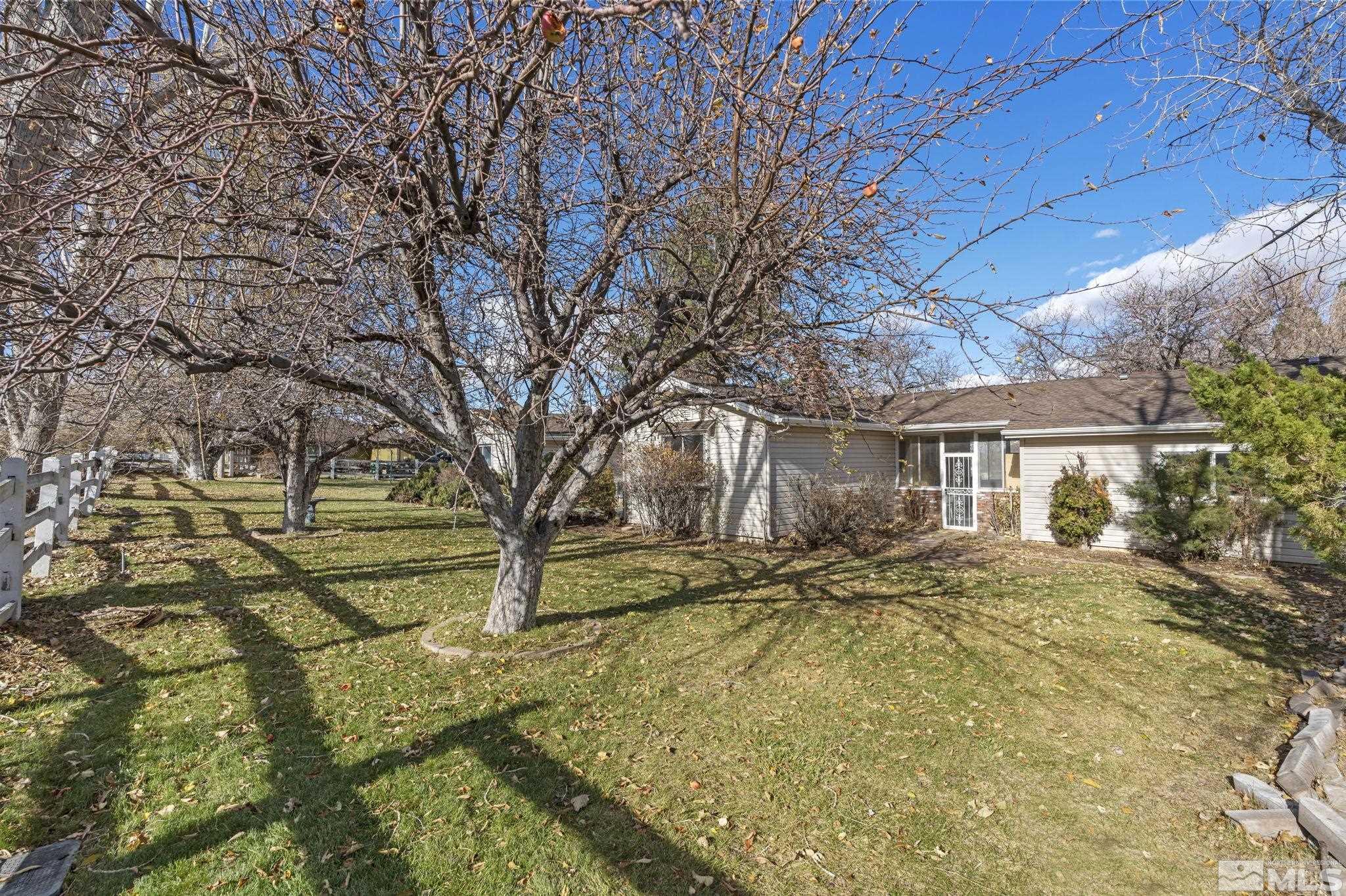 1631 Eli Drive Reno, NV 89511 - Photo 30 of 40 a view of a yard with plants and a tree