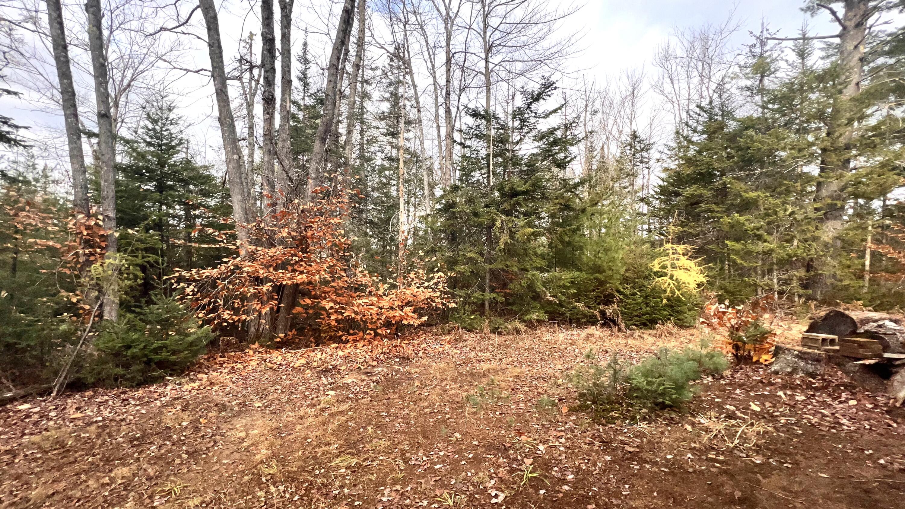 8 Map Road Parkman, ME 04443 - Photo 7 of 15 IMG_4082