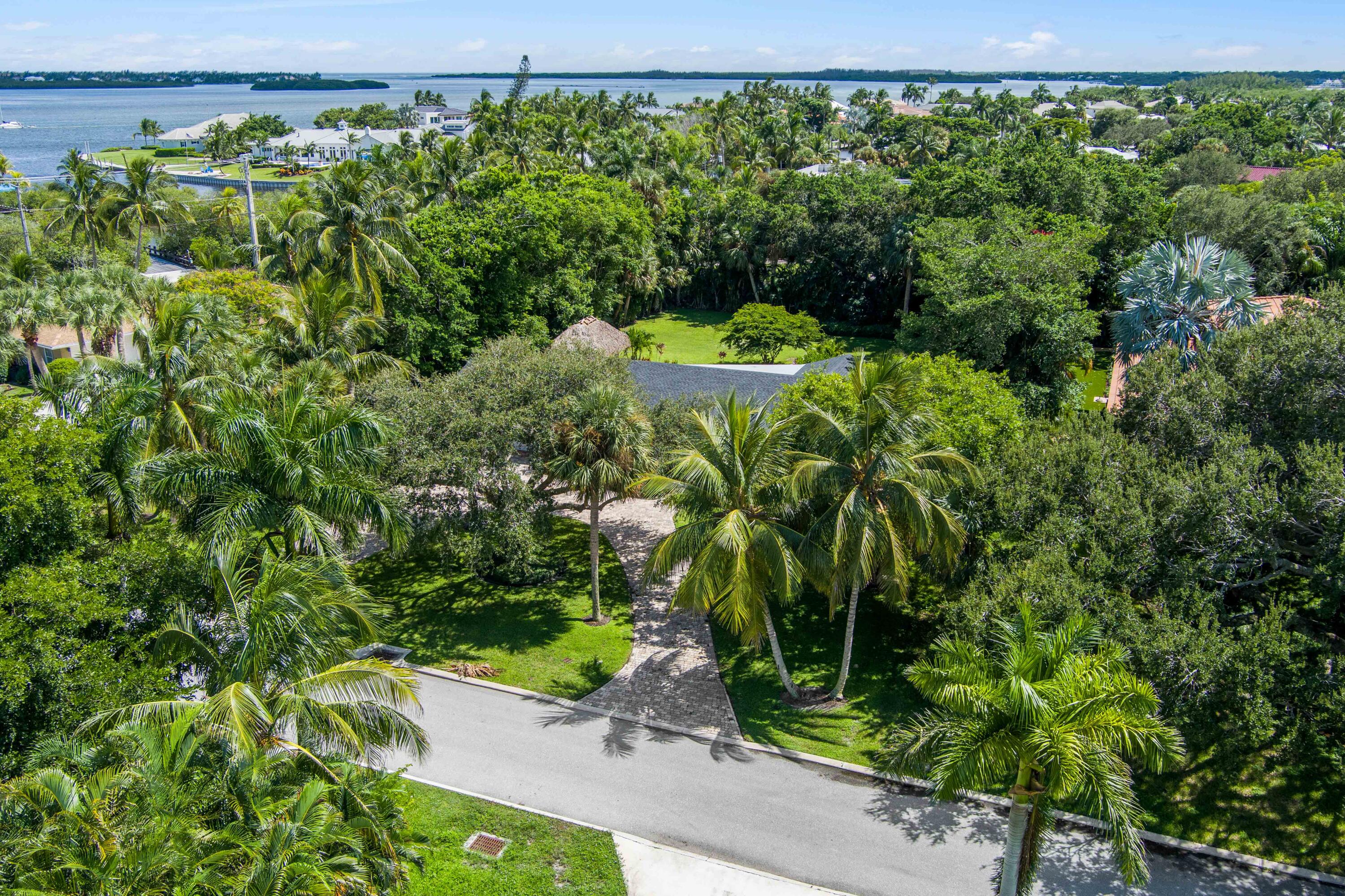 3 Mandalay Road Sewall's Point, FL 34996 - Photo 46 of 46 a view of a garden with plants