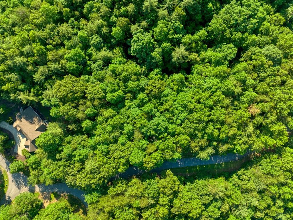 101 Wake Robin Drive Sunset, SC 29685 - Photo 5 of 8 An aerial perspective reveals a secluded residence nestled amidst a vibrant, mature woodland with winding pathways.
