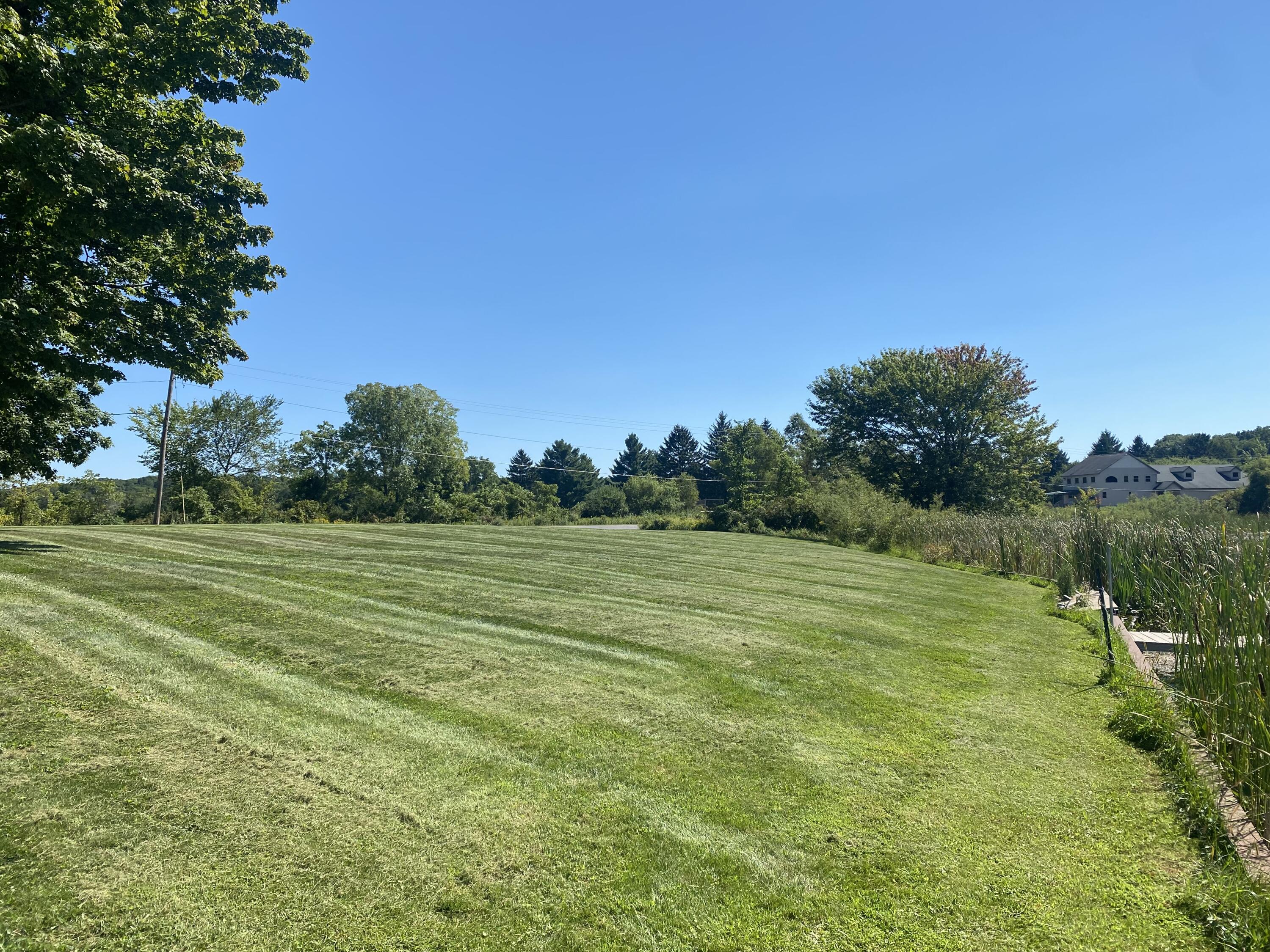 7210 Pulaski Road Concord, MI 49237 - Photo 21 of 42 IMG_7871