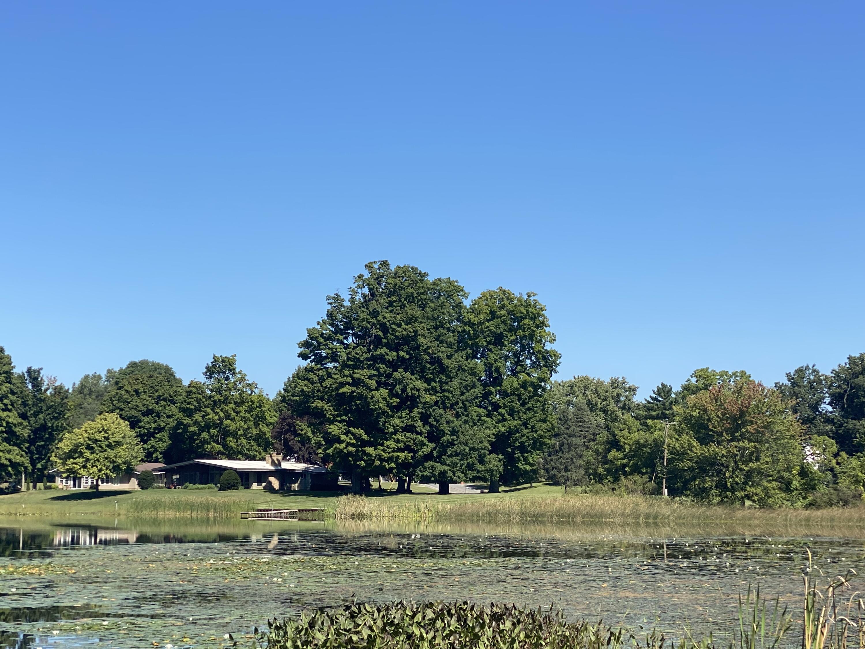 7210 Pulaski Road Concord, MI 49237 - Photo 31 of 42 IMG_7865