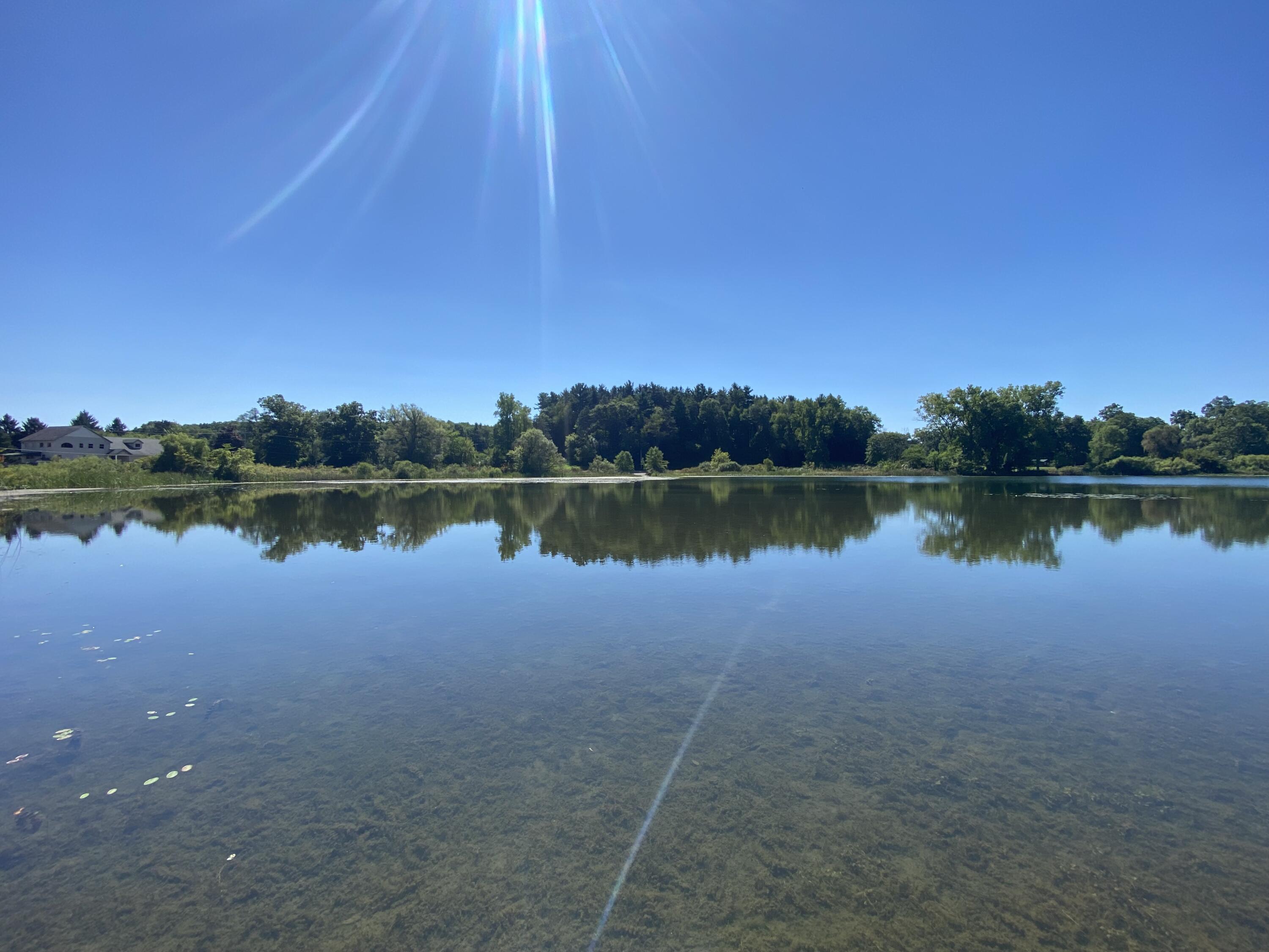 7210 Pulaski Road Concord, MI 49237 - Photo 38 of 42 IMG_7891