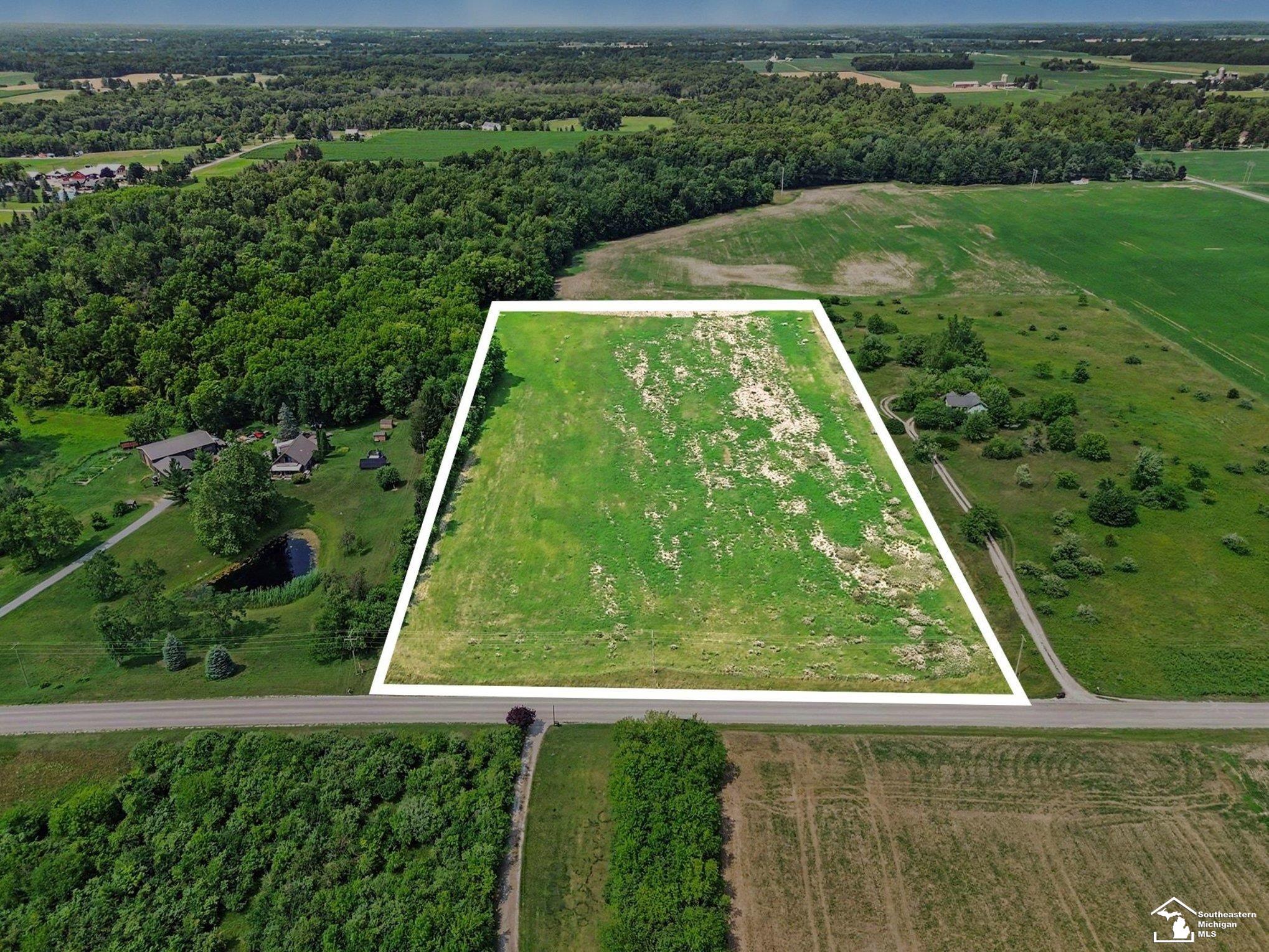 4000 Tomer Road Adrian, MI 49221 - Photo 3 of 19