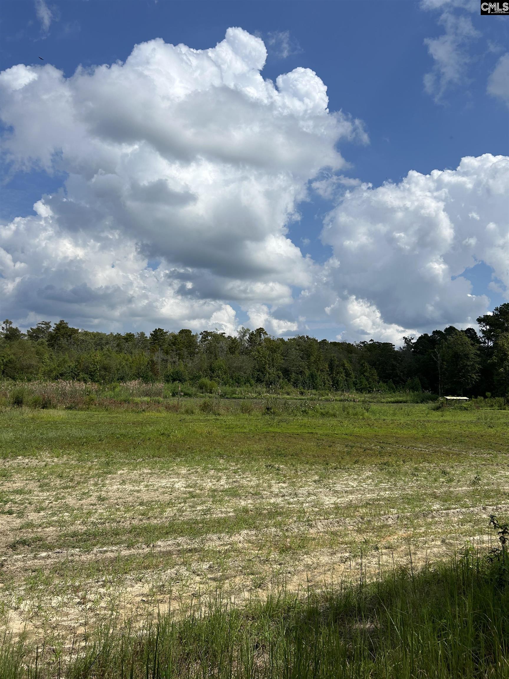 8200 Salem Road New Zion, SC 29111 - Photo 8 of 17
