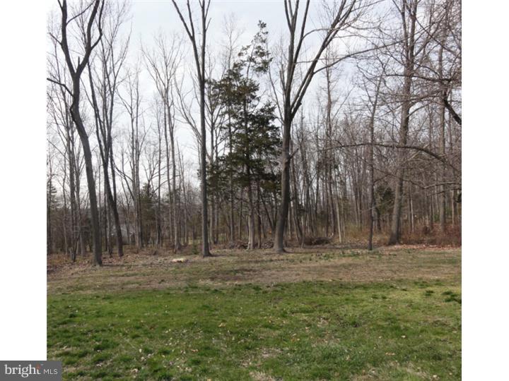 405 Ridge Road Telford, PA 18969 - Photo 17 of 18 View in Back