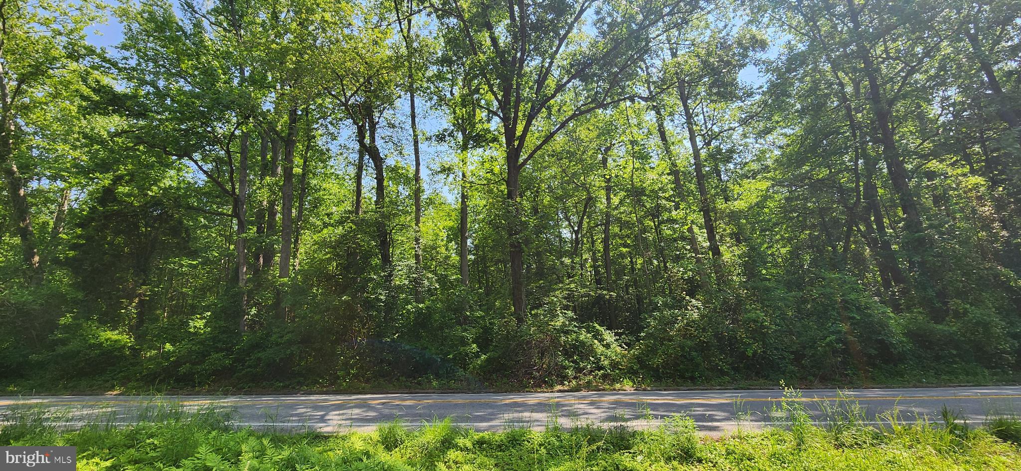 Bensville Road White Plains, MD 20695 - Photo 2 of 14 a view of a backyard