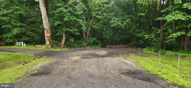 a view of backyard with green space