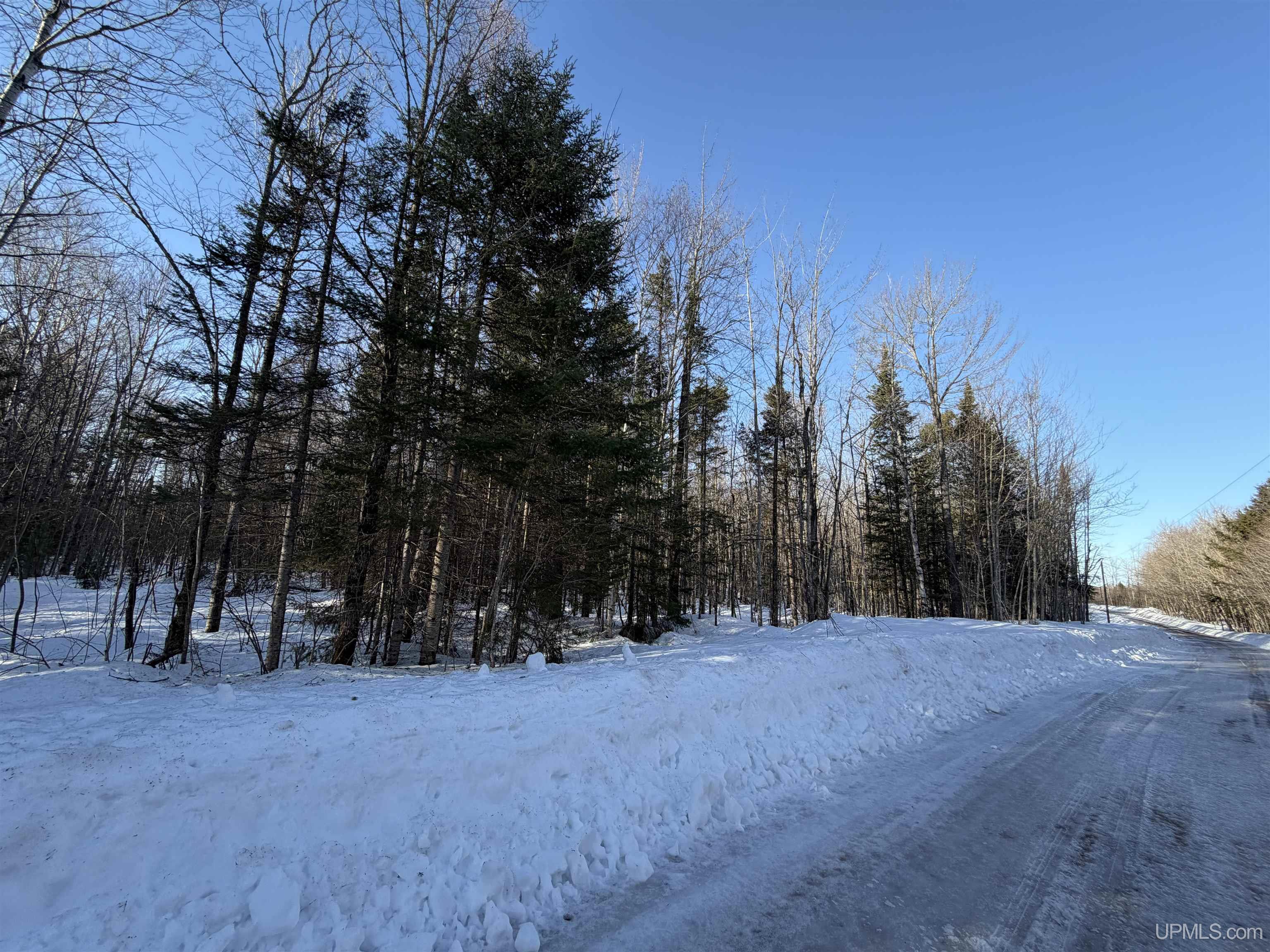 56-acres Halverson Road Skandia, MI 49885 - Photo 4 of 16