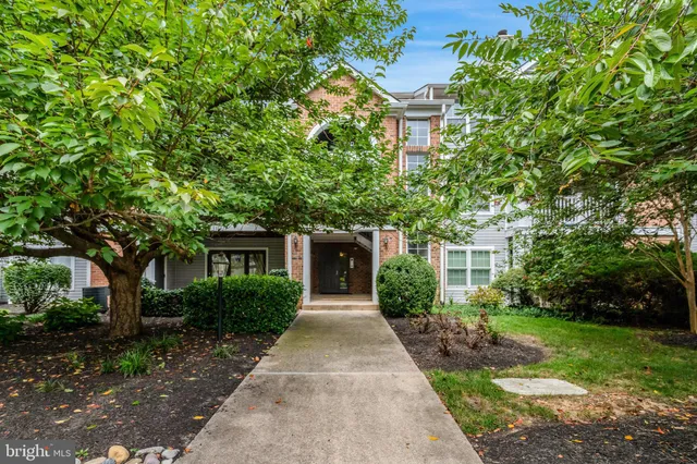 a view of a back yard