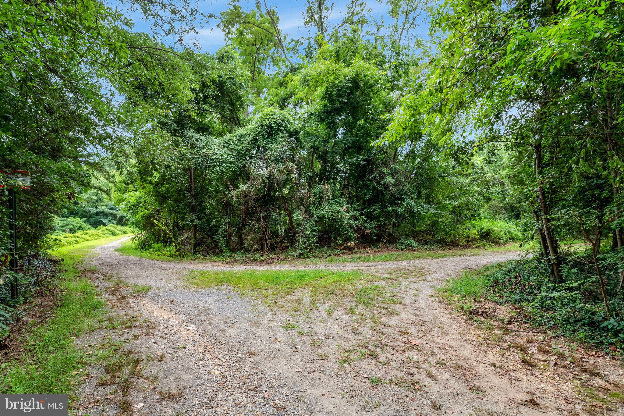 7510 Ashby Lane, Unit J Alexandria, VA 22315 - Photo 51 of 53 a view of a yard with a tree
