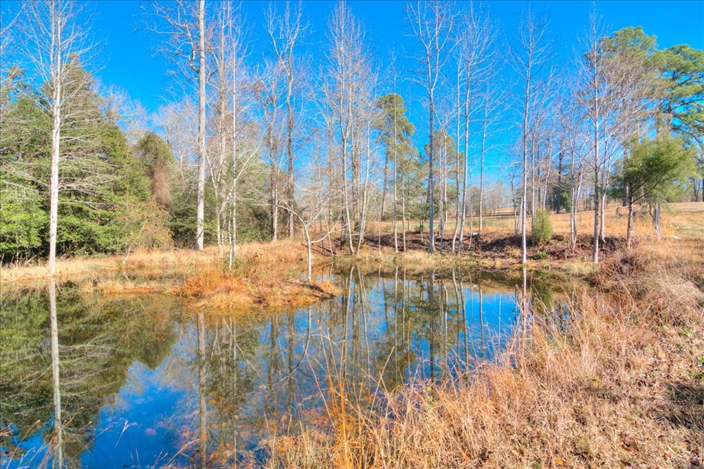 861 Colbert Bridge Road Aiken, SC 29803 - Photo 46 of 52