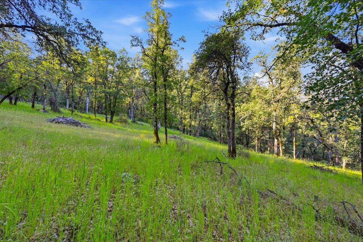 16095 Auburn Road Grass Valley, CA 95949 - Photo 19 of 20