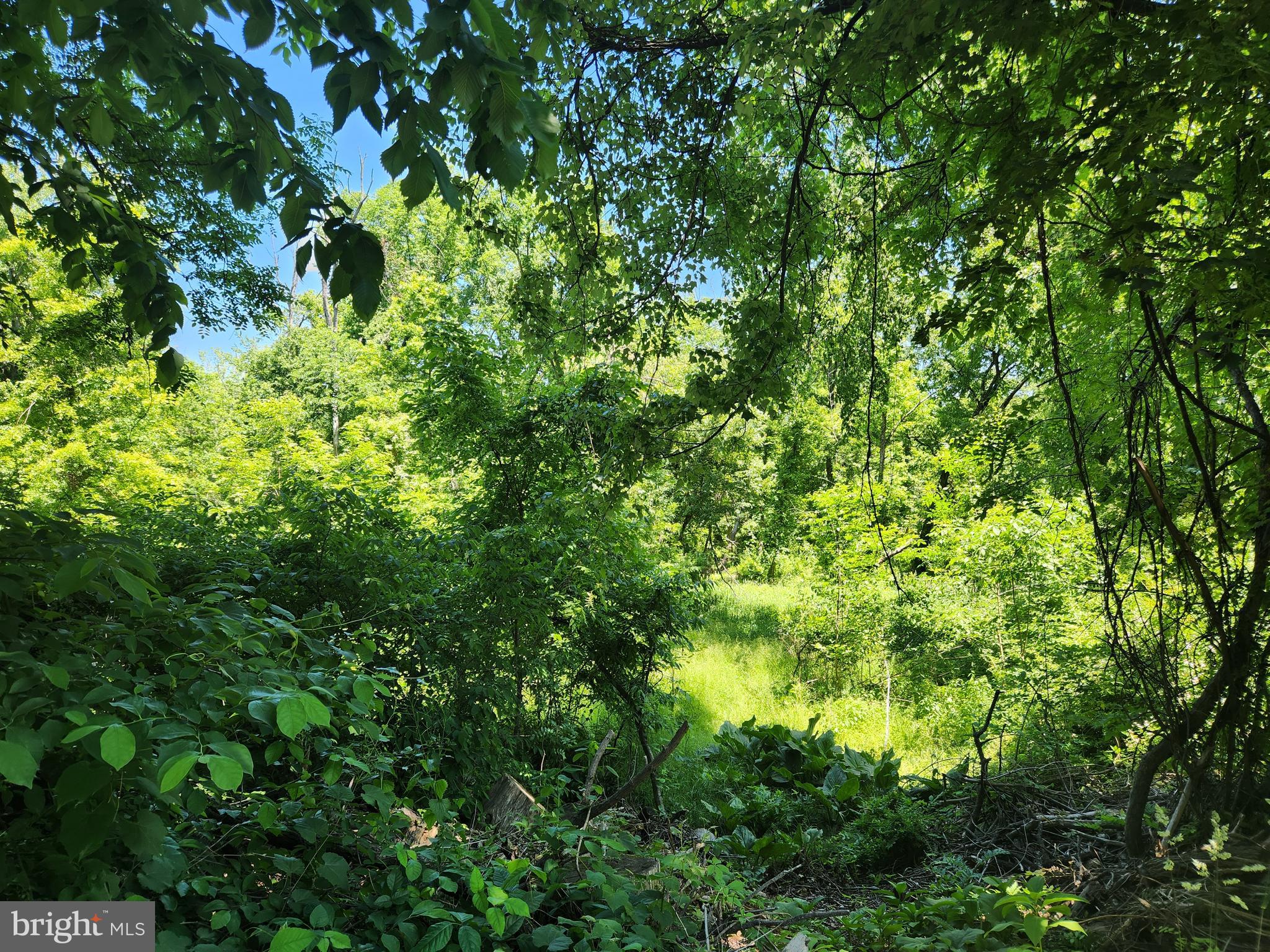 10-6 Carter Road Princeton, NJ 08540 - Photo 4 of 4