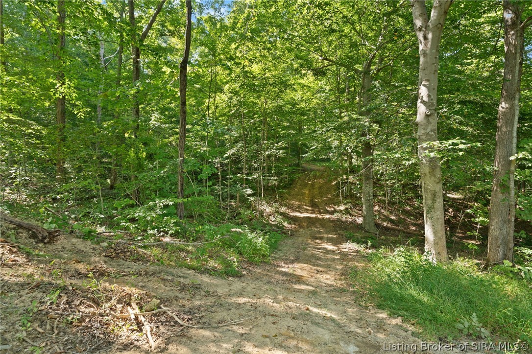Leopold Road Leopold, IN 47551 - Photo 16 of 72 Gallery Image 16