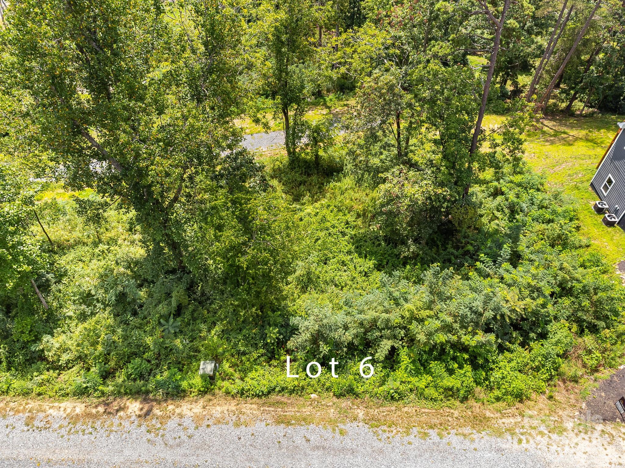 332 Espen Ridge, Unit 6 Asheville, NC 28804 - Photo 5 of 17