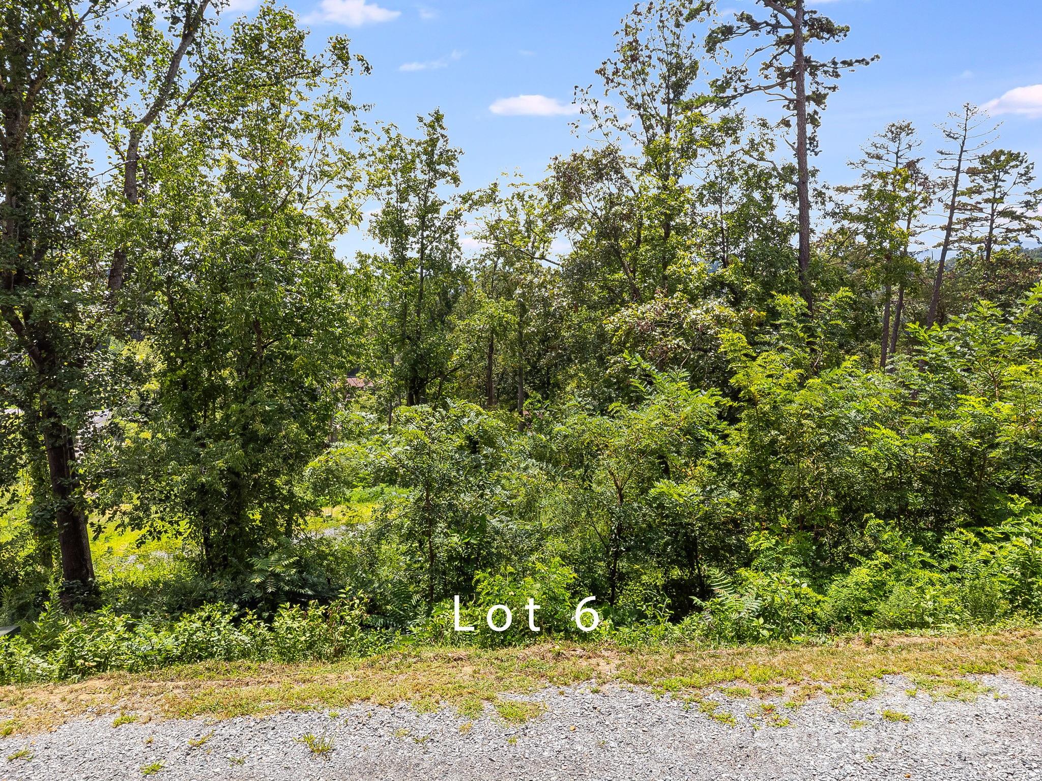332 Espen Ridge, Unit 6 Asheville, NC 28804 - Photo 6 of 17