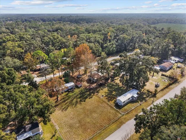 a view of a city with lush green forest