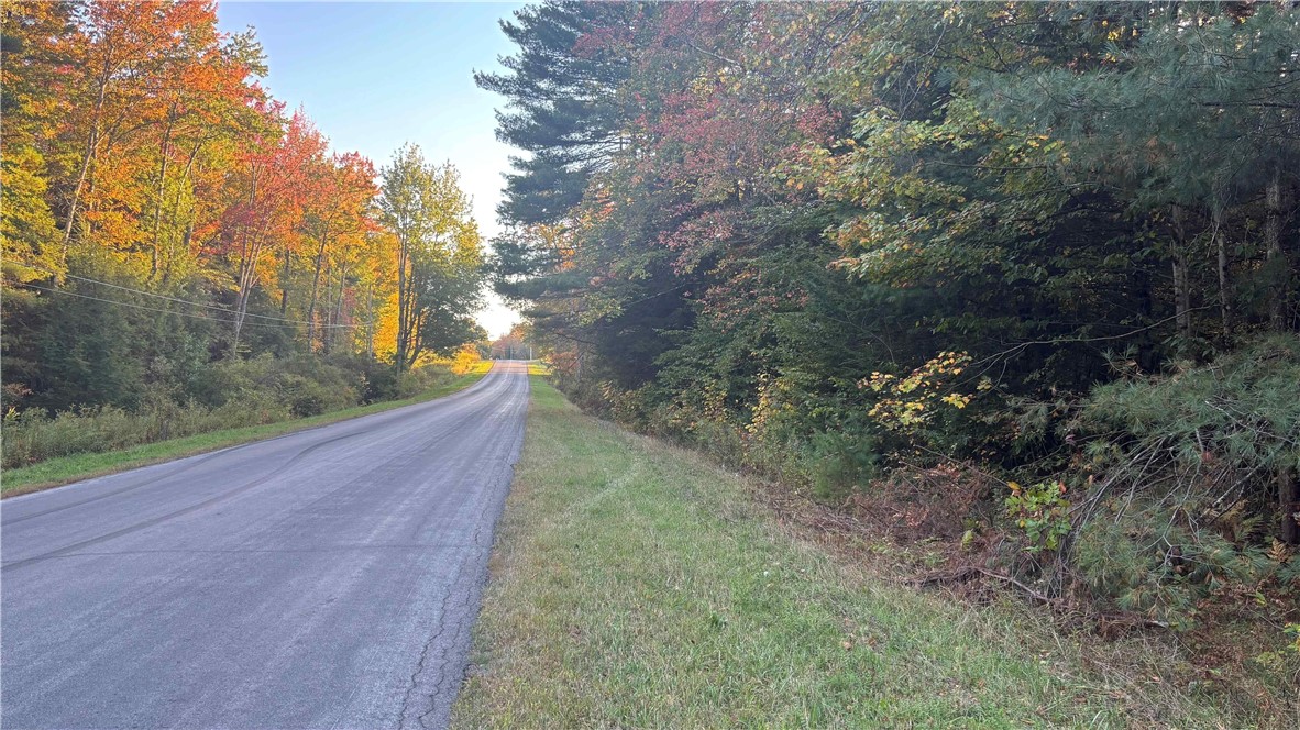 239 White Road Parish, NY 13131 - Photo 13 of 17