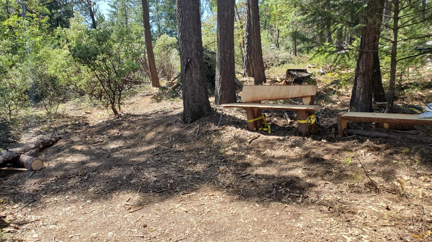 5-acres Cable Road Camino, CA 95709 - Photo 2 of 12 Gallery Image 2