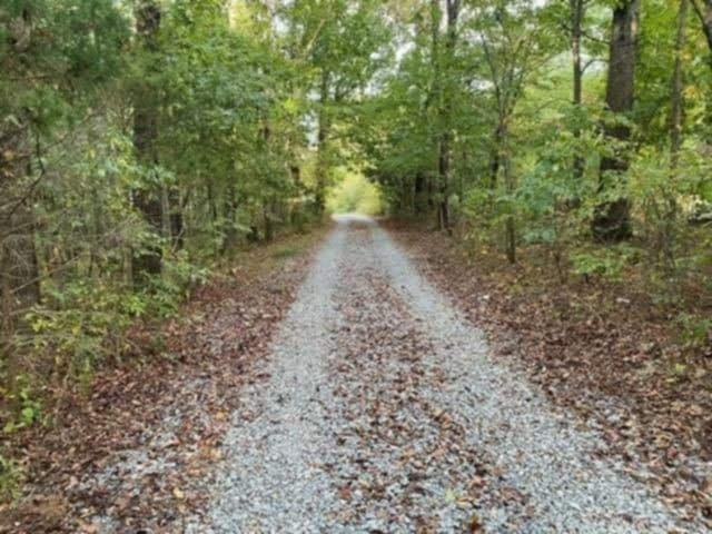 7265 M And M Road Lyles, TN 37098 - Photo 32 of 34 Gallery Image 32