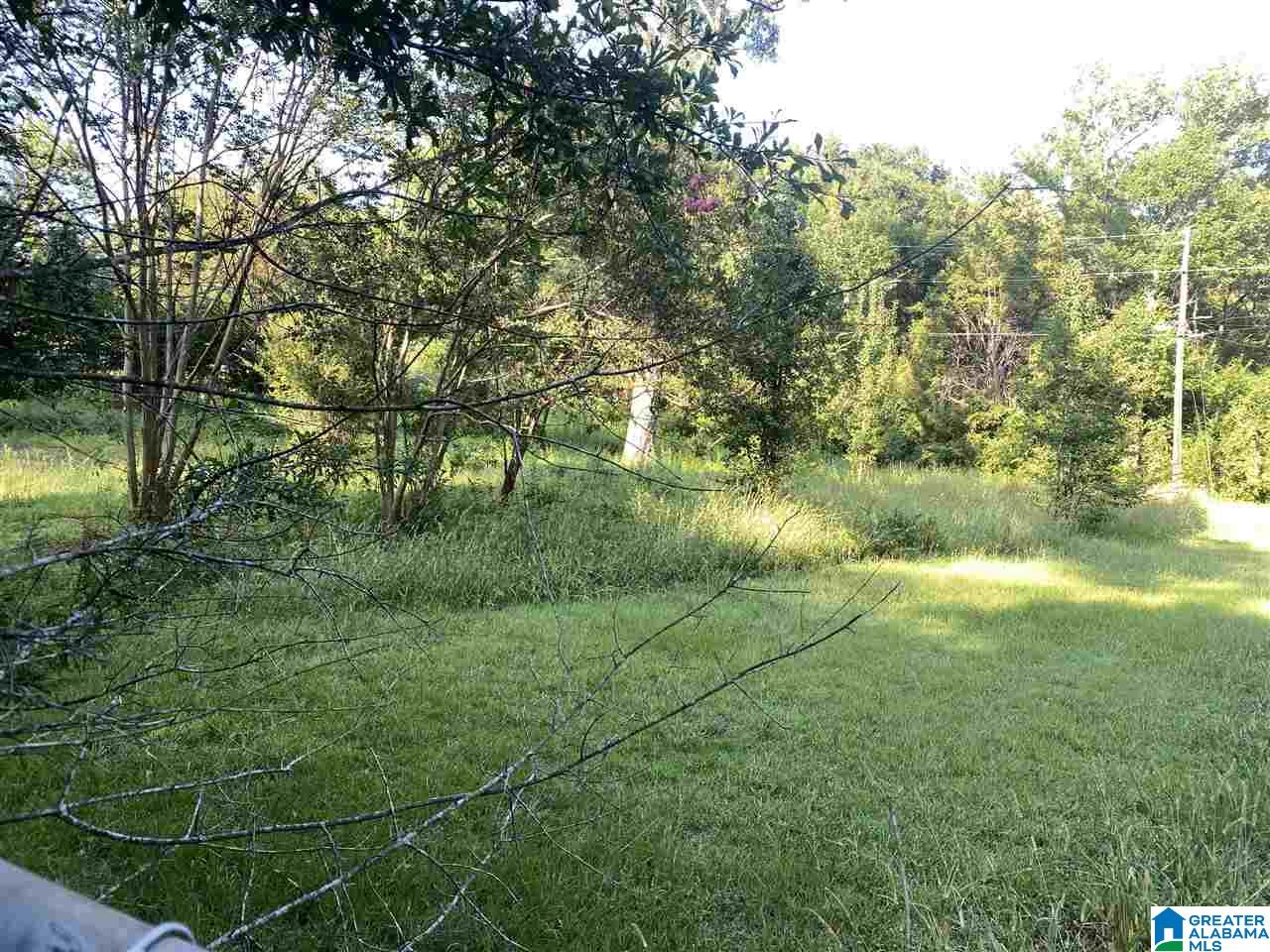 9649 Harvella Road, Unit 1 Warrior, AL 35180 - Photo 4 of 5