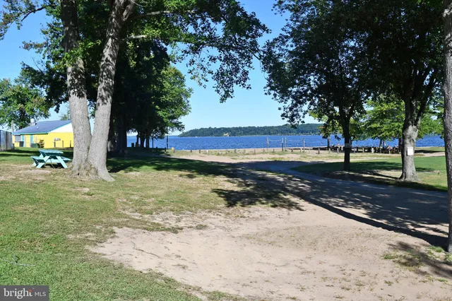 a view of a park with large trees