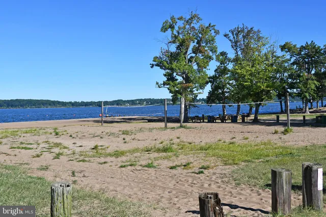 a view of yard with large tree