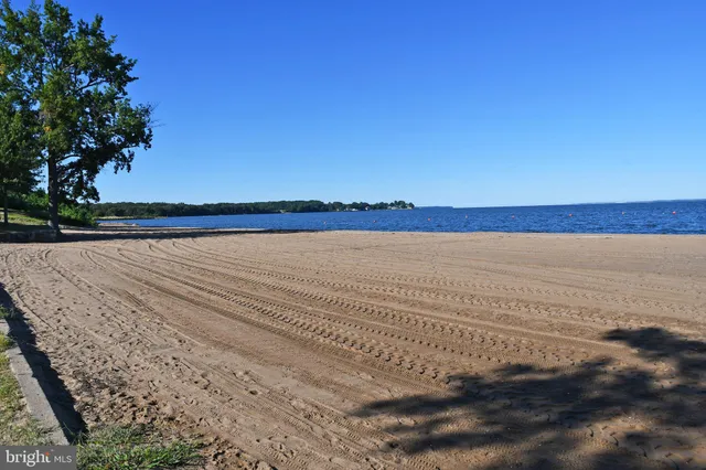 a view of a park and trees