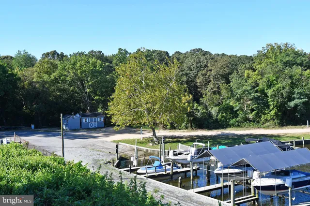 a view of a backyard with large trees