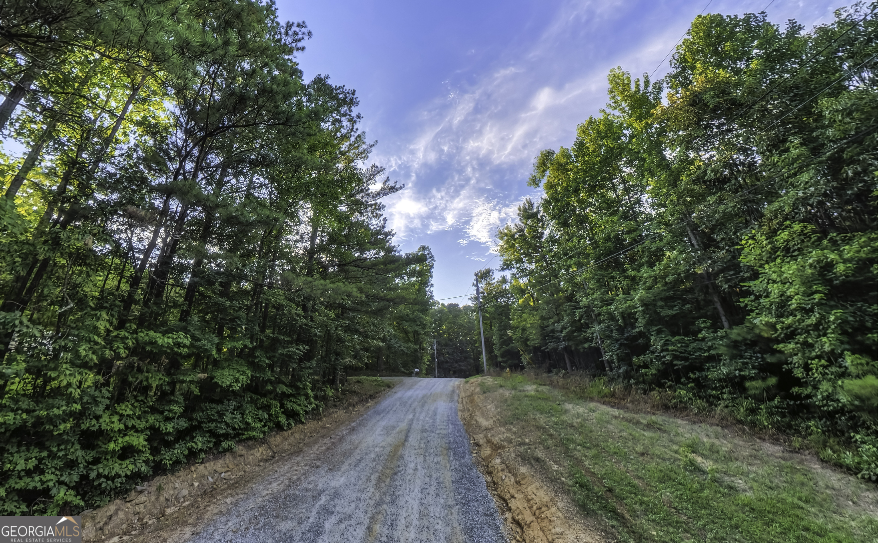 408 Candy Kitchen Road Temple, GA 30179 - Photo 1 of 15 a view of a yard with plants and a large tree