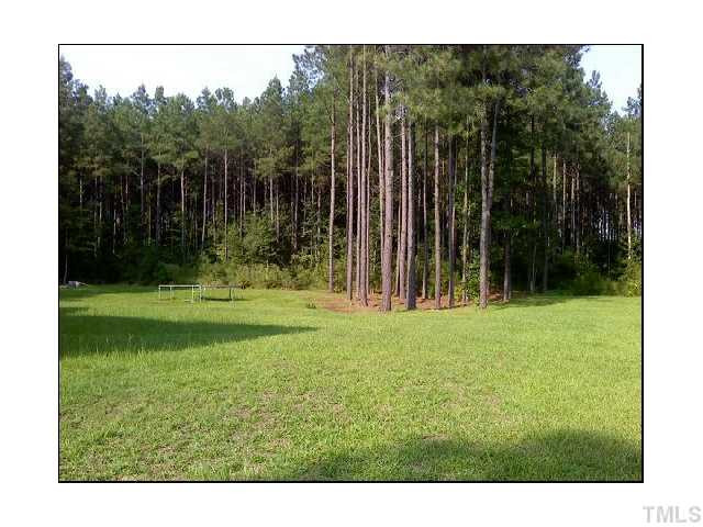 293 Cameron Drive Raleigh, NC 27603 - Photo 15 of 17 Photo 15