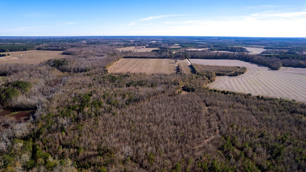 3700 Britton Road Sumter, SC 29153 - Photo 22 of 26