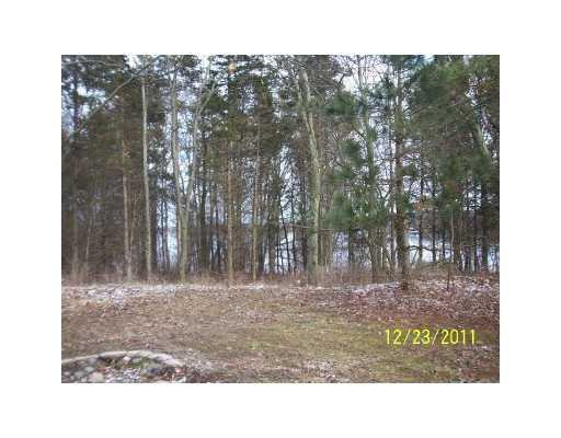 16880 Waterloo Road Chelsea, MI 48118 - Photo 3 of 14 Photo 3